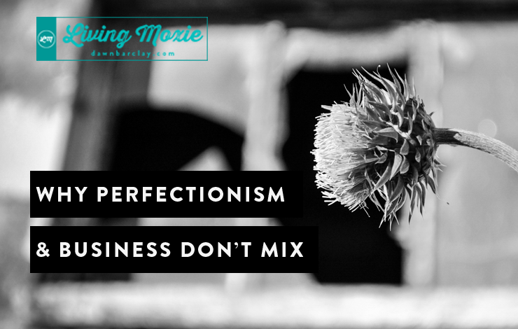 Why Perfectionism and Business Dont Mix