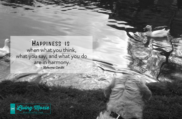 Happiness Is When What You Think