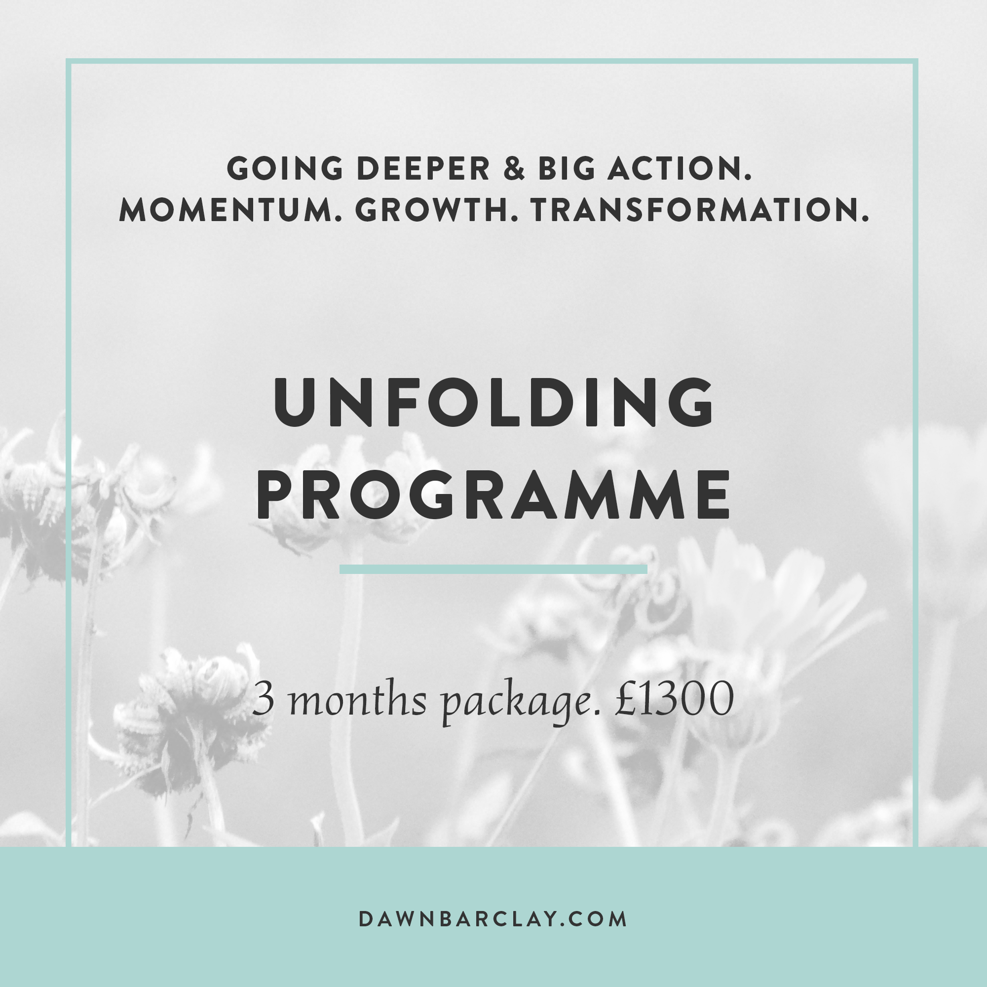 Unfolding Programme